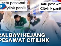 Dokter Erli Meichory Viorika, Penyelamat Bayi Kejang di Pesawat, Dapat Pujian