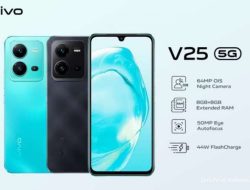 Vivo V60 Lebih Kuat, Ini Alasan HP Ini Layak Dibeli Tahun 2026