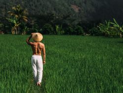 Agrosolution Kaltim Dorong Ketahanan Pangan Berkelanjutan di Kupang