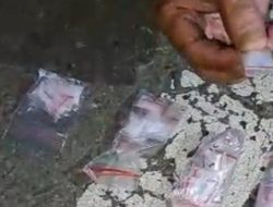 Penggerebekan narkoba: Ganja di Mendo Barat dan sabu di Toboali diamankan polisi
