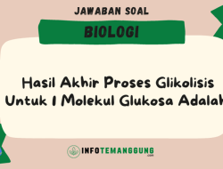 Apa saja akseptor hidrogen dalam glikolisis? 50 soal dan jawaban biologi kelas 12