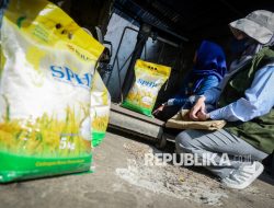 Badan Pangan Pastikan Harga Daging Sapi Sesuai HAP Pemerintah
