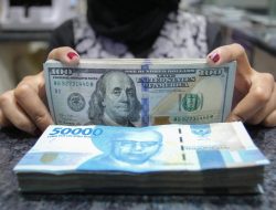 Rupiah melemah, IHSG naik, investor cari saham murah