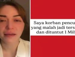 Profil Pemilik Resto Bibi Kelinci, Nabilah O’Brien Jadi Tersangka Pencurian di Tempat Sendiri, Diminta Rp1 Miliar