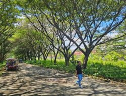 Thariq Modanggu Bangun Stadion Kecil dan Tempat Nongkrong Baru di Sekitar Kantor Bupati Tanpa Dana APBD