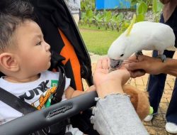 7 Foto Erika Carlina Perkenalkan Alam dan Satwa pada Andrew