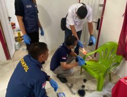 Tersangka Pembunuh Staf Bawaslu OKU Selatan Menyerahkan Diri, Bukti Dibuang di Bandara
