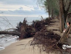 Video viral pria usir siswi di Pantai Pasia Jambak, Lurah Pasie Nan Tigo masih selidiki kejadian
