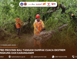 BPBD Umumkan Dampak Cuaca Ekstrem di TTU