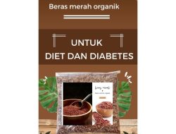 Beras Impor 1.000 Ton dari AS, Cocok untuk Penderita Diabetes