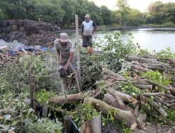 Danau Kerinci Berkurang 70 Hektare, Warsi Kecam Kerusakan Hutan dan Ancaman Debit Air PLTA