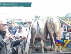 Jangan Terima Suap, Disnak NTT Gunakan Aplikasi Khusus