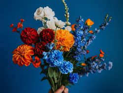 Kumpulan Soal TKA SD 2026: Bahasa Indonesia dan Matematika