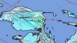 Detik-detik Warga Lari Selamatkan Diri Saat Adonara Diguncang Gempa