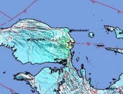Detik-detik Warga Lari Selamatkan Diri Saat Adonara Diguncang Gempa