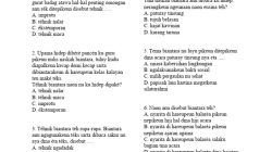Jawaban 45 Soal Sunda Kelas 9 Semester 2 Kurikulum Merdeka
