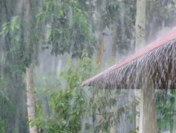 Hujan di Solo Pertengahan April 2026, Kapan Musim Kemarau Mulai? Ini Prediksi BMKG