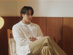 Perjalanan Karier Mingyu SEVENTEEN, Idol Multitalenta yang Bersinar di Dunia