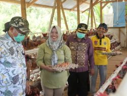 Bupati Gorontalo Utara Dorong Peternakan Kambing BUMDesma di Desa Windu