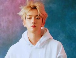 Profil Baekhyun EXO: Karier, Fakta Menarik, dan Debut Solo Sukses