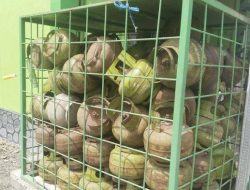 Harga LPG 3 kg di Tuban Capai Rp27 Juta, Warga Beralih Masak dengan Kayu Bakar