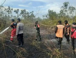 Siaga Karhutla Kaltim: 77 Titik Panas Terdeteksi, Kukar, Kutim, dan Berau Jadi Perhatian