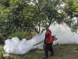 Kasus DBD di Ciamis Mencapai 134 pada 2026, Dinas Kesehatan Himbau Warga
