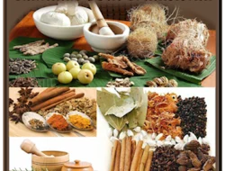 Lebih dari 1.000 Ramuan Herbal, Toko Obat Tradisional Ini Selalu Ramai